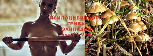 COCAINE Богородицк