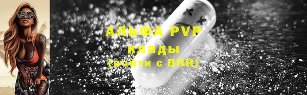 крисы Белоозёрский
