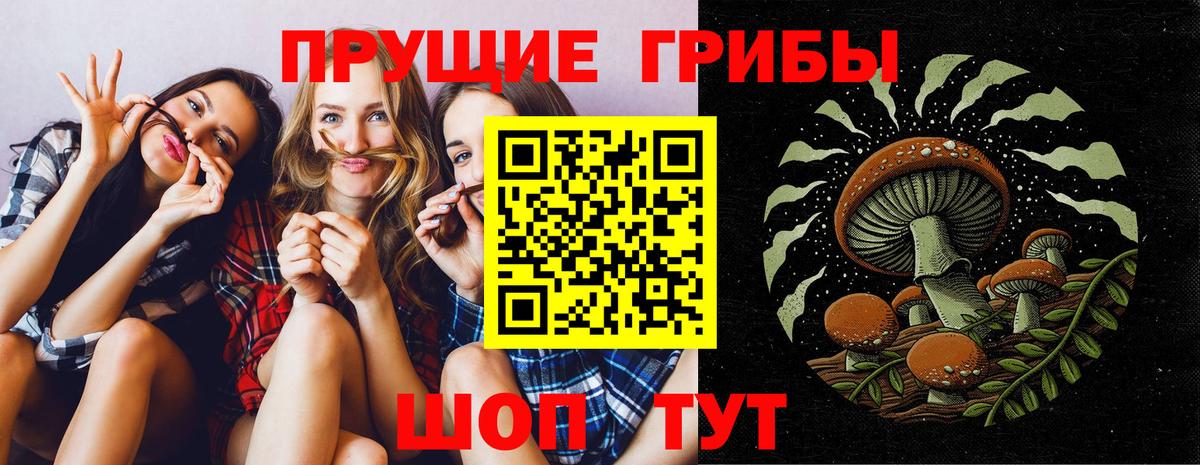 Псилоцибиновые грибы Magic Shrooms  Вход с VPN  Галлюциногенные грибы ЛСД  Дальнегорск 
