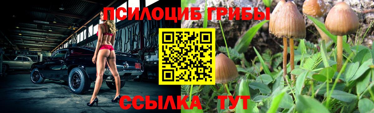 Псилоцибиновые грибы Magic Shrooms Дальнегорск